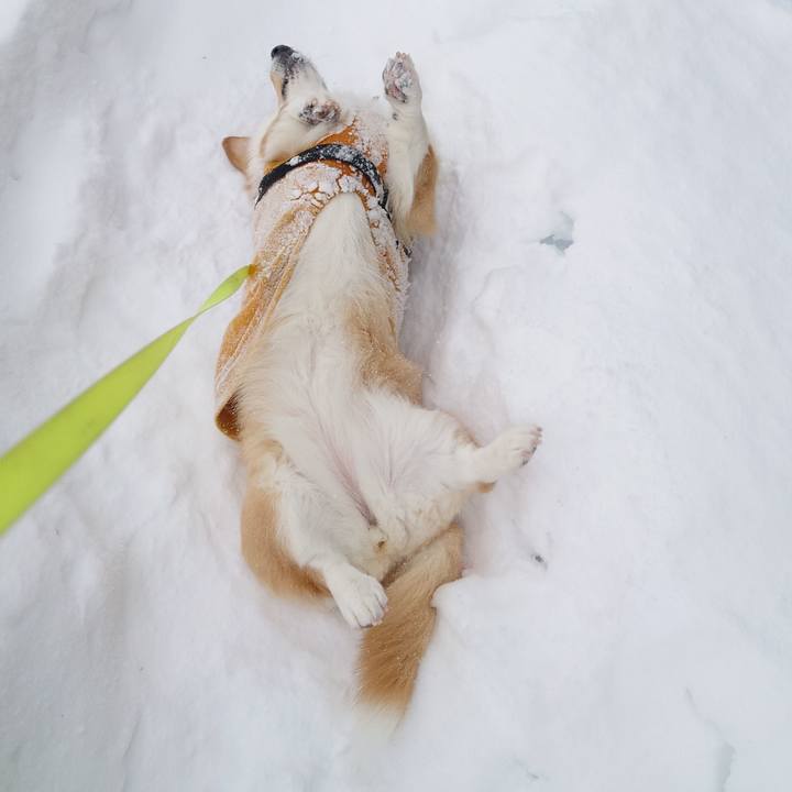 38488b0d 7cd2 42e6 a0ab 9ff9a4cc96e4 1770354787382