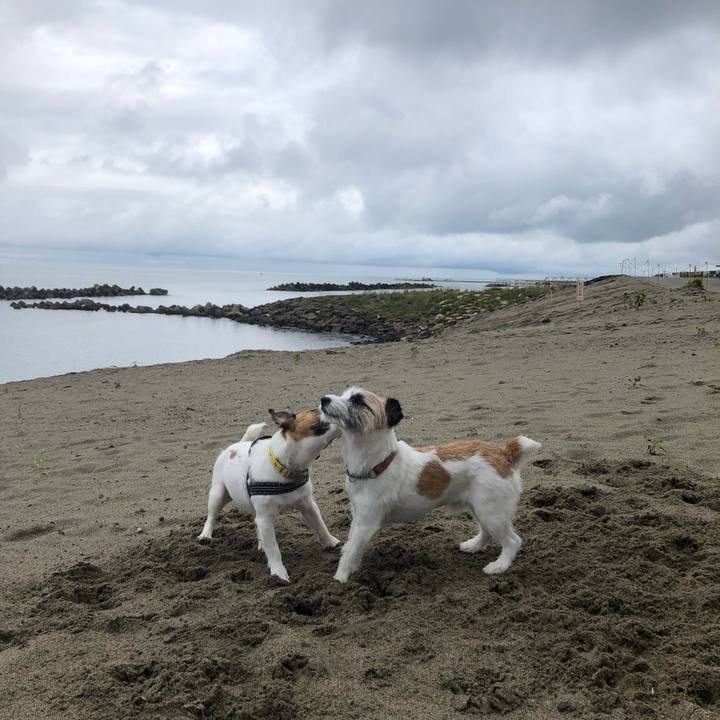 3848bc5a 1be7 41fc a8fa 00b348c77cd3 1593905809676