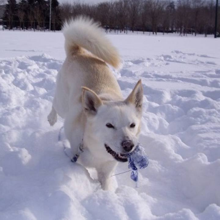 3848c160 8874 4214 8335 8d2a35410429 1546514162499