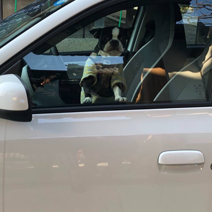 3848c844 145d 406c b196 5cf372e9cda6 1518244797599