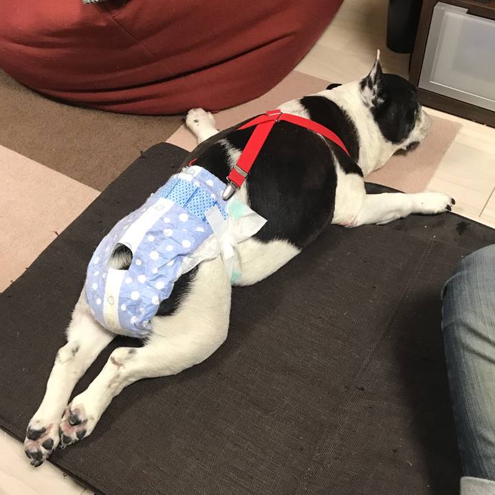 3848d839 bf3f 4124 bf7a 600b3316766d 1515242783745