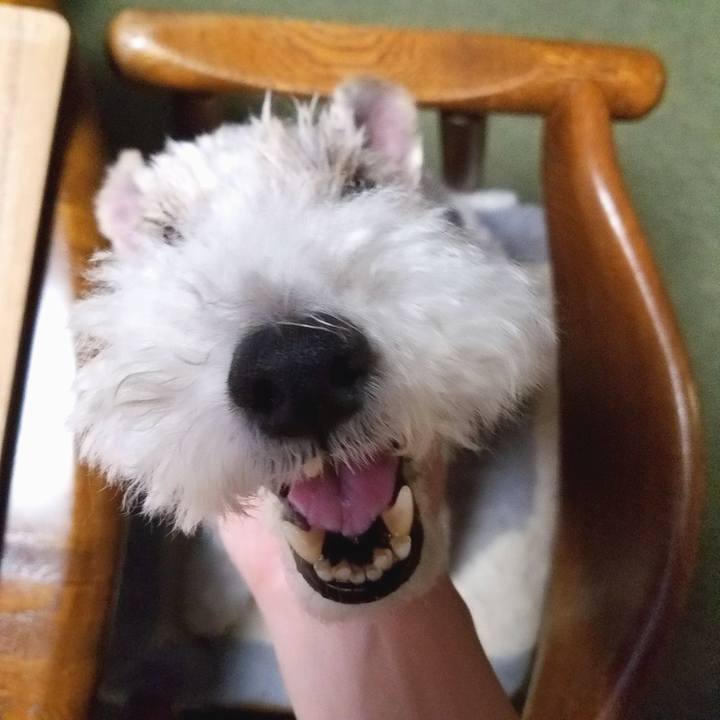 3848ee1d 4984 40bb 913c cc0058ff1308 1566358682168