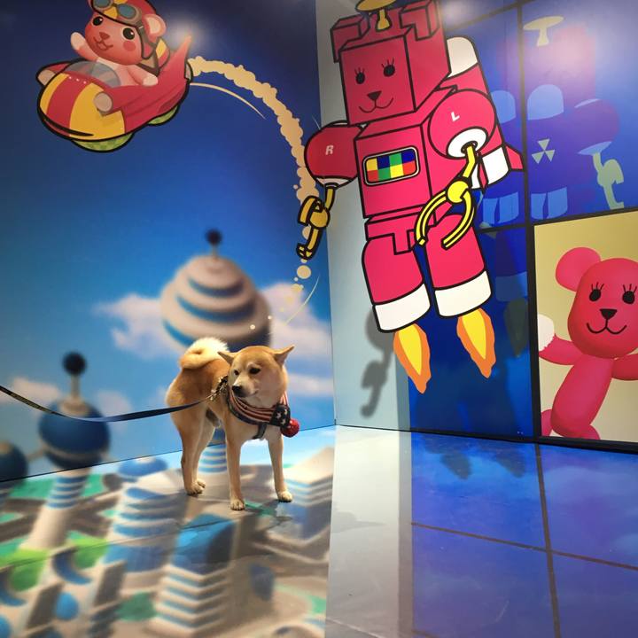 3848f25d 1b37 4c12 be51 1660796ce7a6 1770381567148