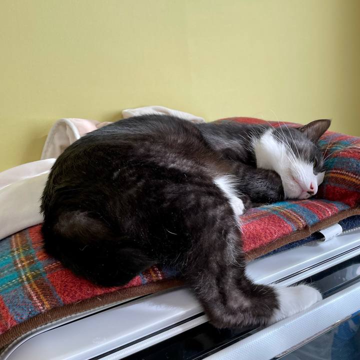 3848fb71 e8cd 4235 a18d 8e4d3916e266 1642648135593