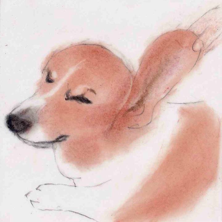 384922e4 6160 4d75 89f5 69b06c4e40d7 1643791096597