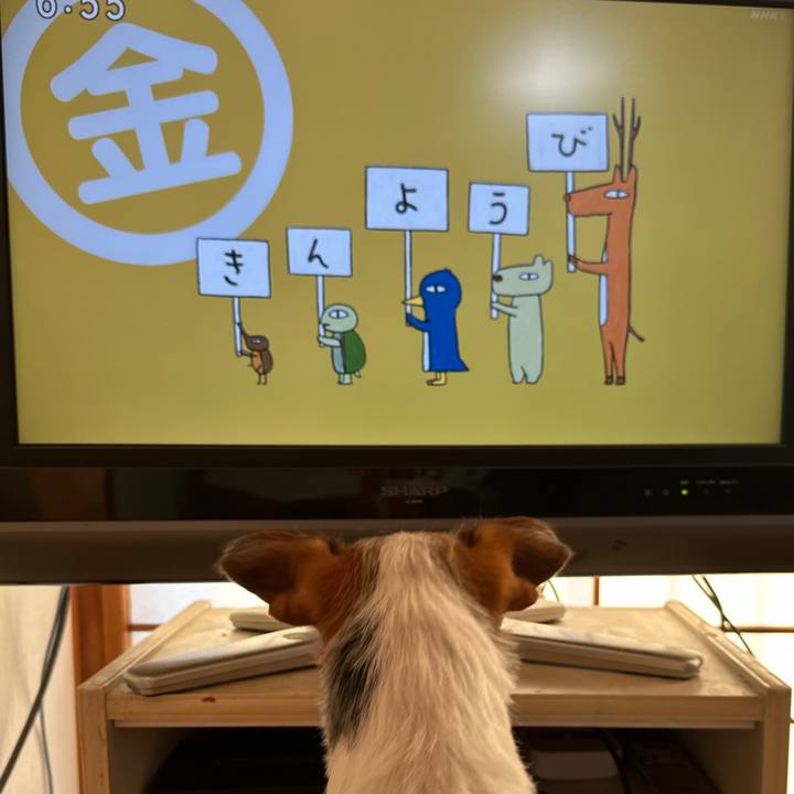 38492fb7 d38b 46d0 b3df 3920cb9587da 1763678202928