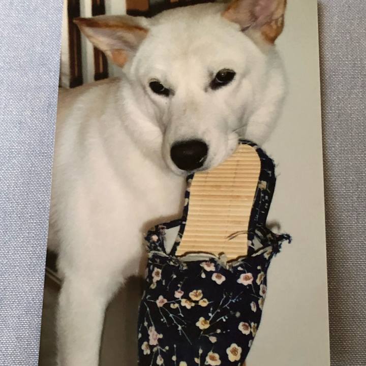 38494c9e a8ee 4ddd 8eaf 0d1d8759779a 1557785018293