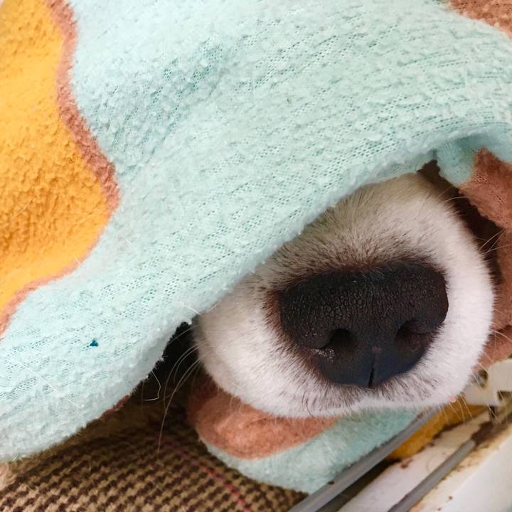 38494d80 fcbd 4477 a45c 5e12f18c2ffe 1576383703499