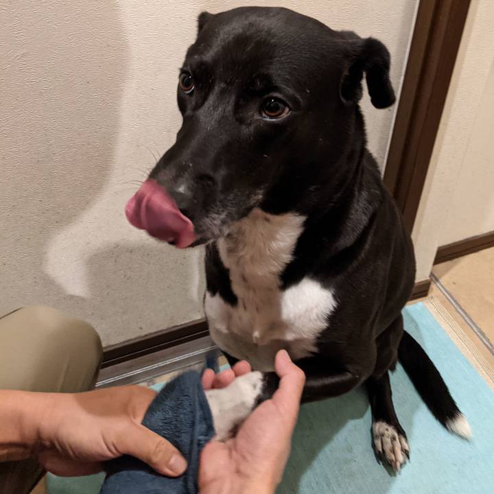 38494fa6 3ab7 45ef ac41 a71f7773043f 1632740142672