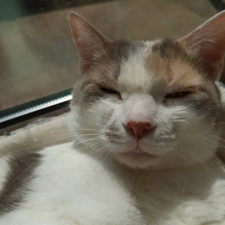 38495669 3e8a 4f05 a4ac 8d4ede164cfd 1683865635221