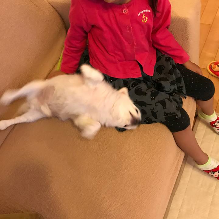 38496ac4 db80 412e 92f3 429e036f7334 1507888459229