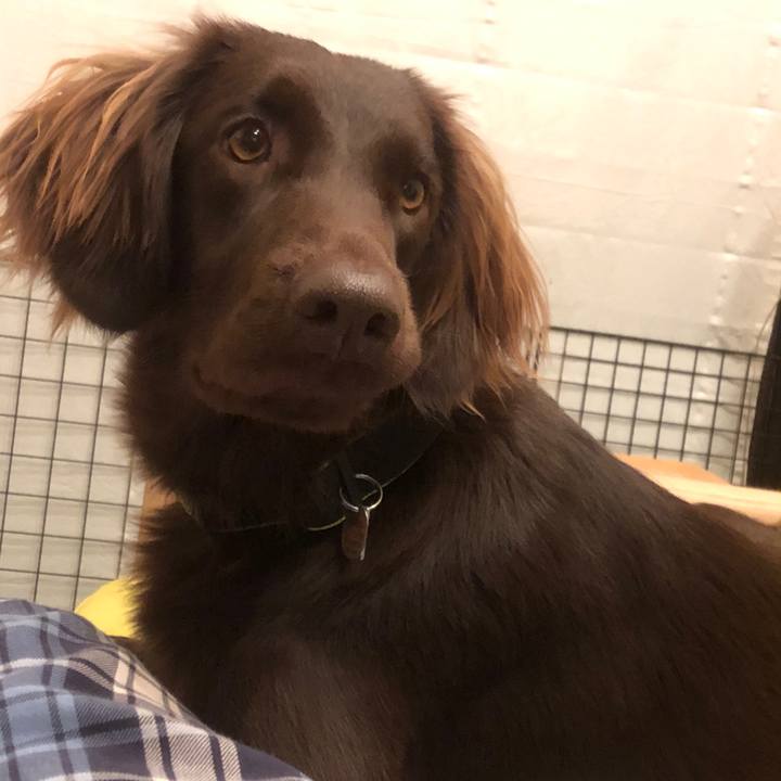 38498ea0 c034 4a21 b6ba deec0e60c0b3 1584367100070