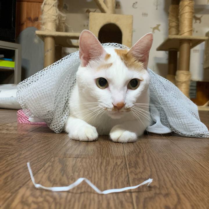 3849a389 469c 4bb5 a63b 96ace7021b07 1571149419324