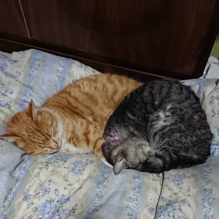 3849b4d2 03a3 41f9 9f3d 6d2124a15320 1578659456025