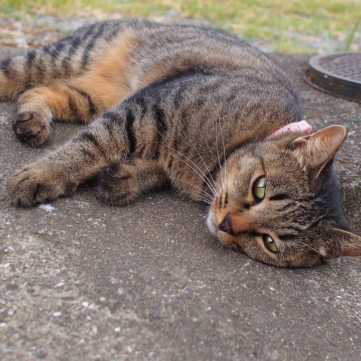 3849e111 452f 4fcf bcad 9025a4bcb067 1534029926168