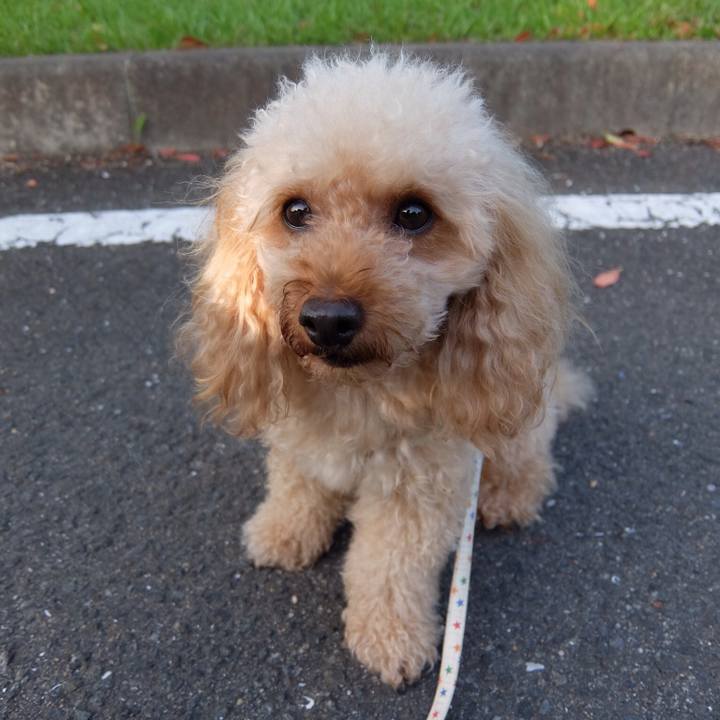 3849eb72 f231 4f71 8d8c f84db8ed7b7a 1528493718229