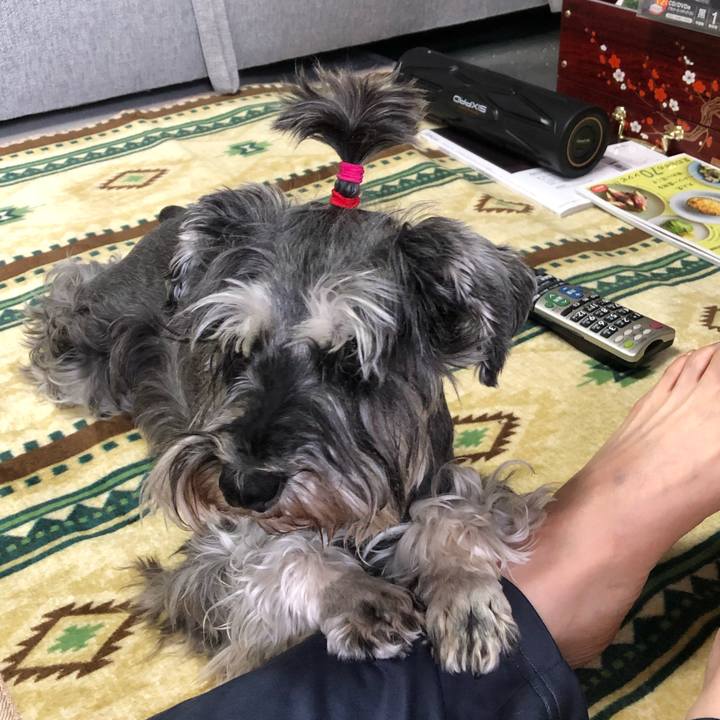 3849f084 35a9 4d56 bb01 c27ff4d55dd9 1620536821759