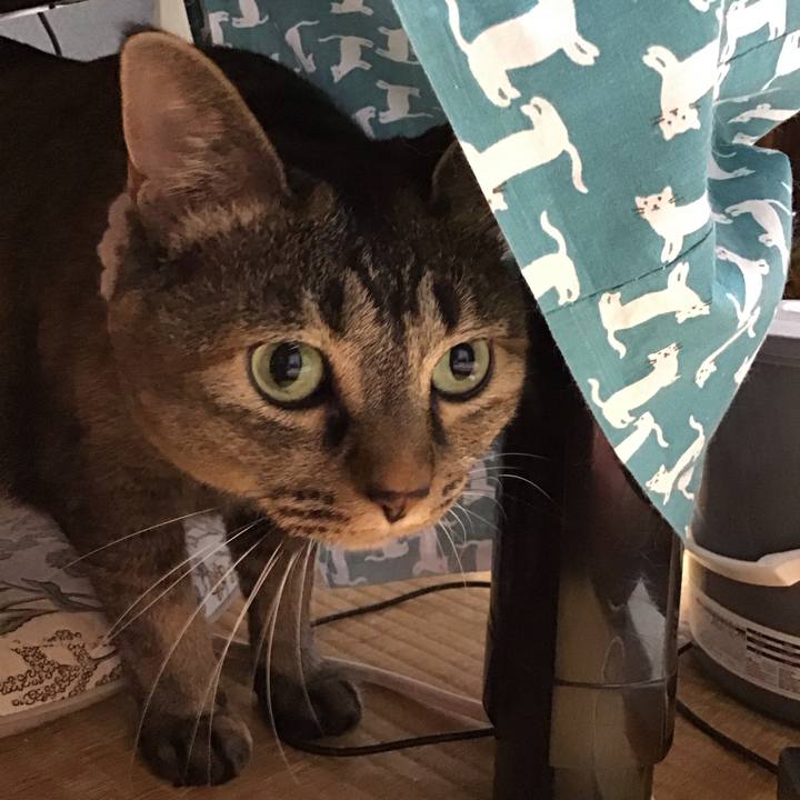 384a0ff7 5aeb 428c 8adc d06551763158 1754558508466