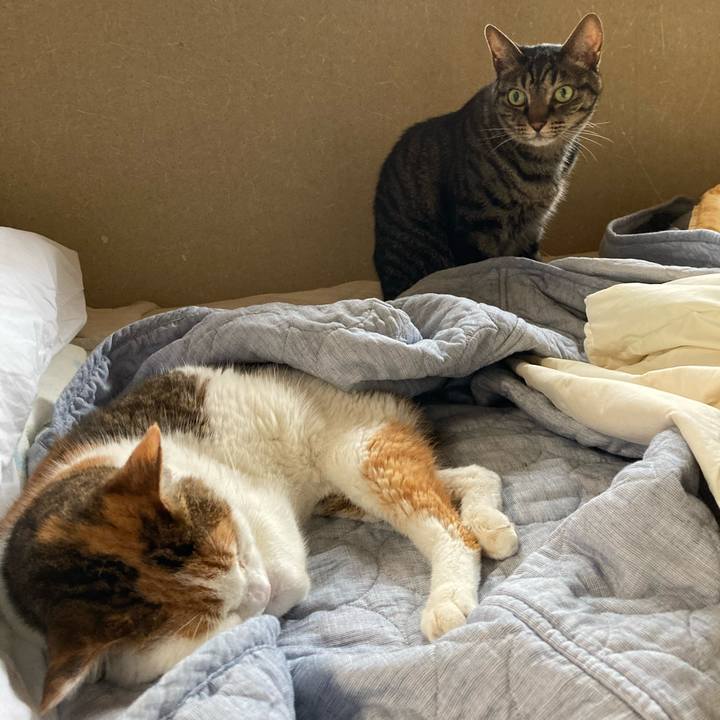 384a4a2a 085a 4e5b 8da5 e720bdea1d30 1603537636959