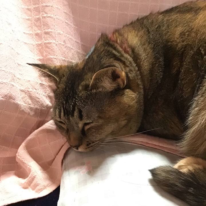 384a5642 d7c4 43cc a2e1 a8a5ed5a2201 1704878967262