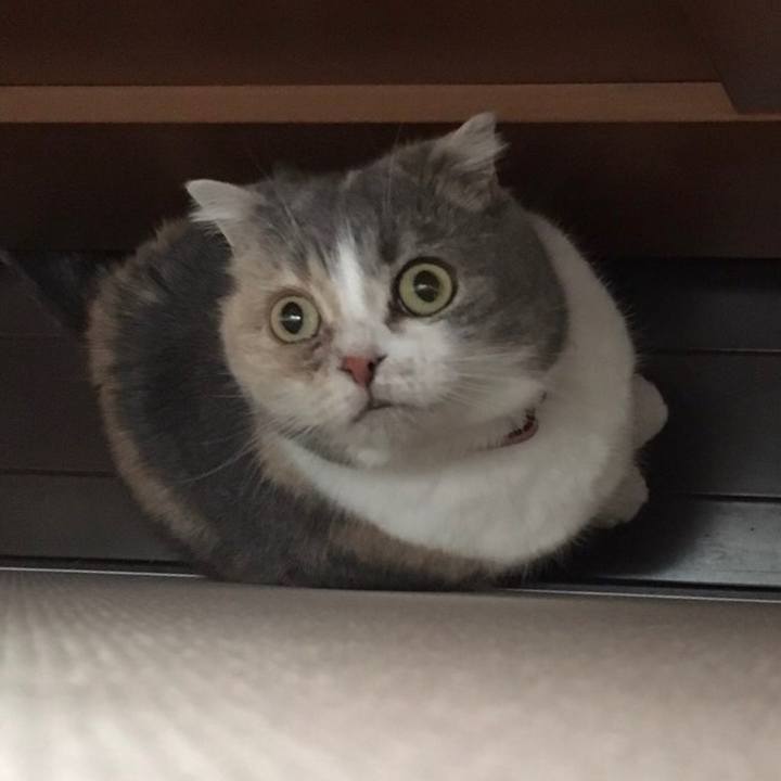 384a5b2a 401d 48d8 9896 dd8417503171 1580550767958