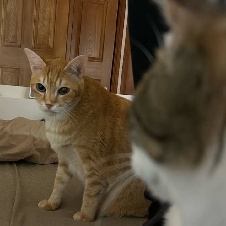 384a6dd5 807b 42bd b578 6f4493c68bc3 1676735398475