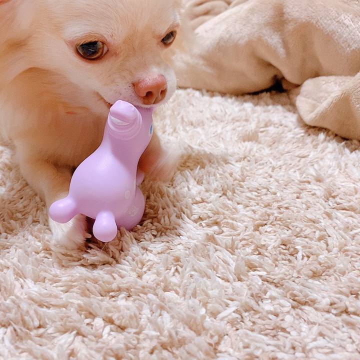 384a70fb 2ddf 4b6c 877e 2c0e6a1a3643 1625278684425