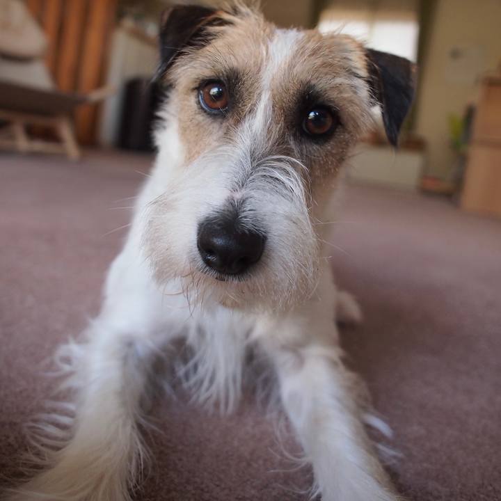 384a79fc 0ba2 48a3 94be 373568d77bdb 1653269086120