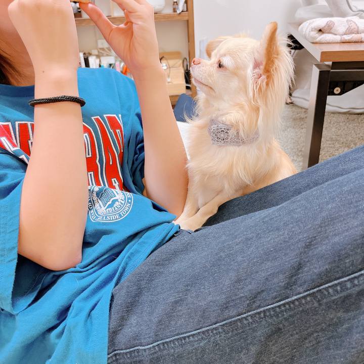 384a9931 3459 4526 8900 9eede788ff0b 1654172084348