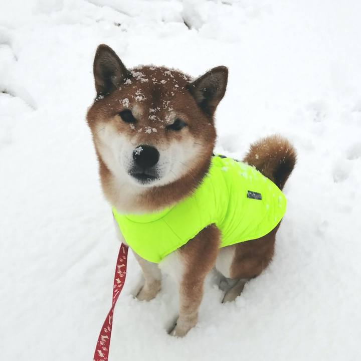 384ab139 470d 40be 8155 ba1e1f6936fb 1641455408321