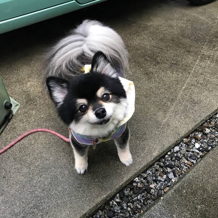 384ab52a 3cde 4b47 b6e3 248a68336e94 1531415752986