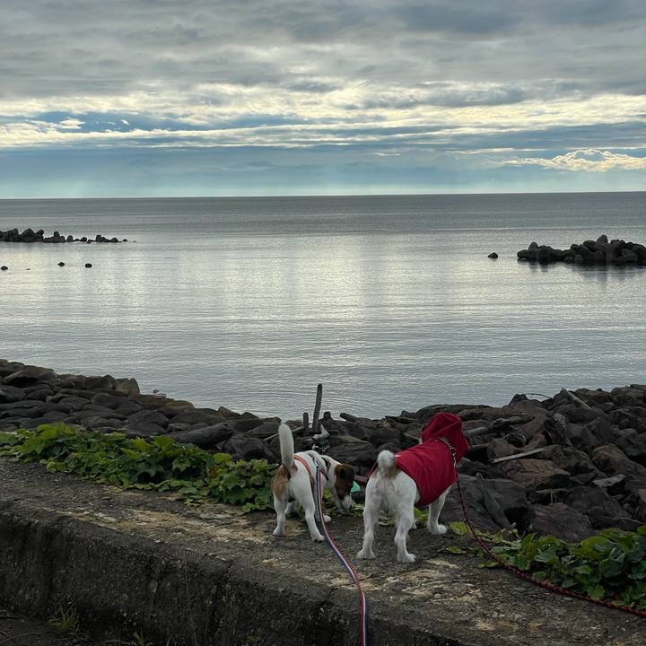 384adb68 3387 4b63 b52d 27532a3fee88 1624091883041