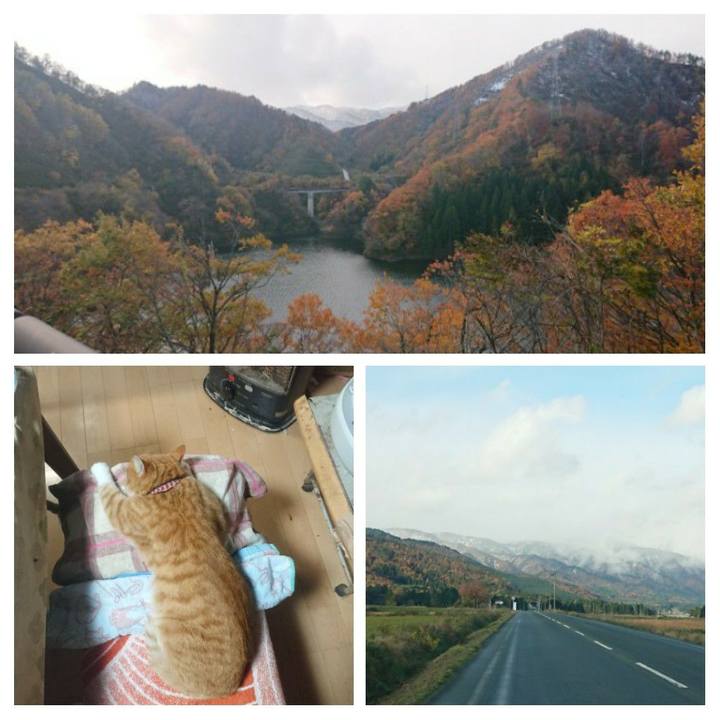 384afbbd 7e5d 4b14 8850 7941200bd5f0 1604999401315