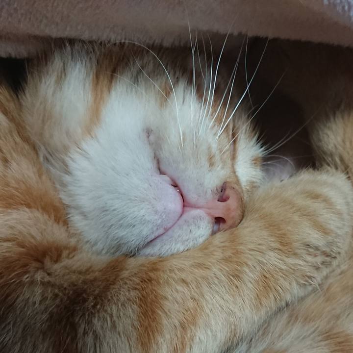 384b0141 7aa4 42c6 84d8 e717889d88d1 1651840514281