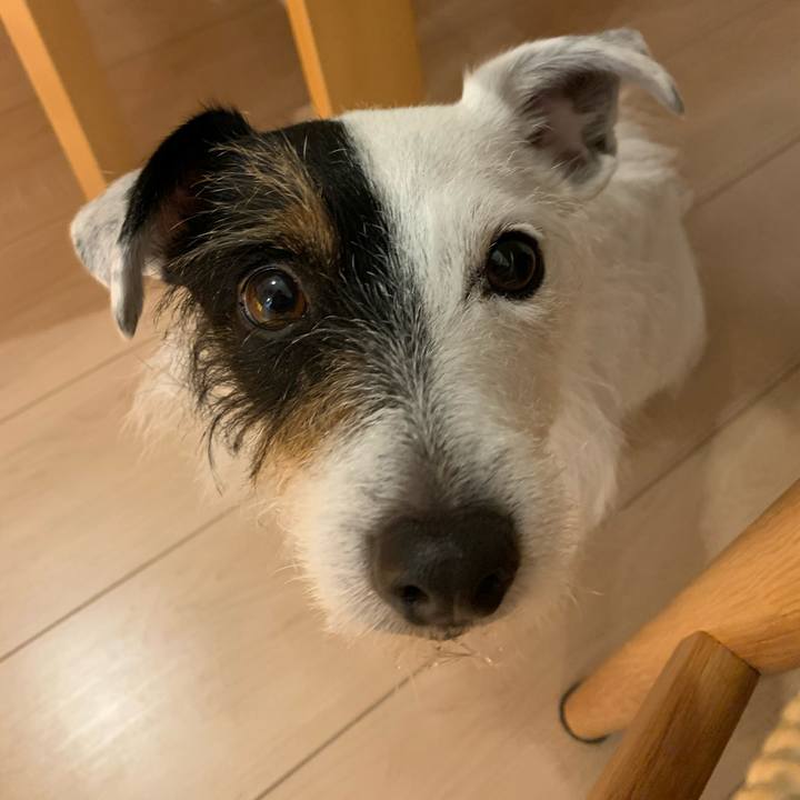 384b3721 98fc 4cb2 aa0a 9cf69cbfebe8 1611825667901