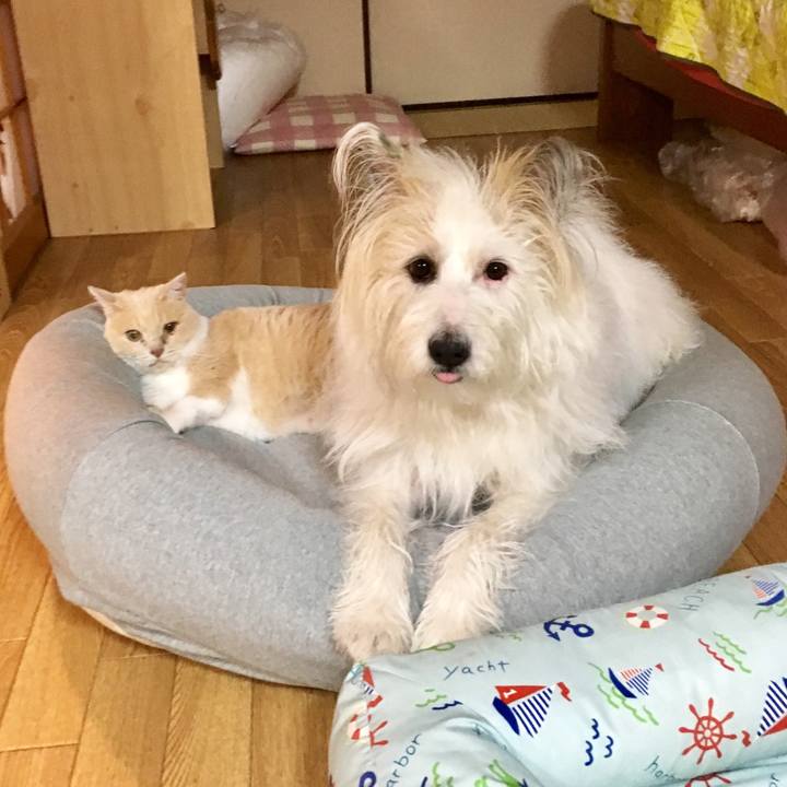 384b5c0e 679f 4cb2 9f79 87c89ecbef75 1564313813172