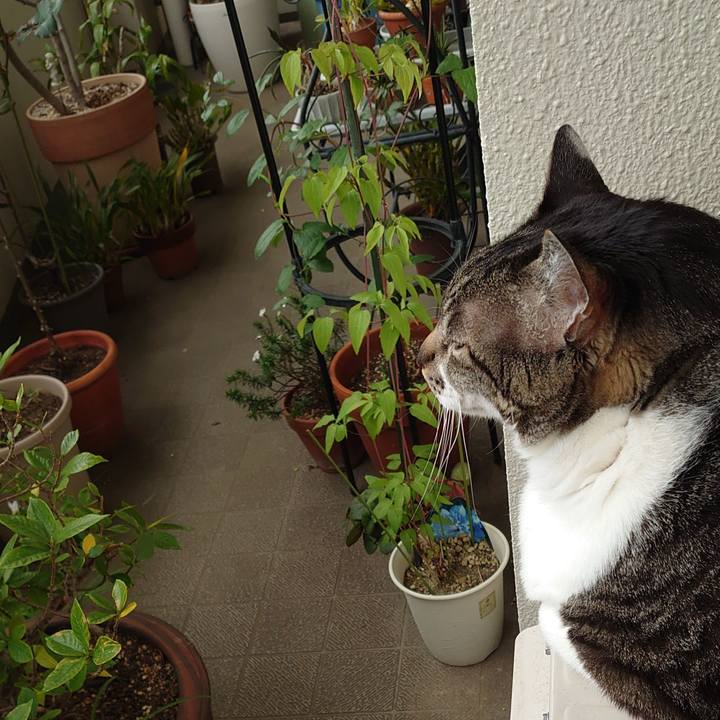 384b785c 3e38 4fac 9517 f386554c6d4a 1619049641432