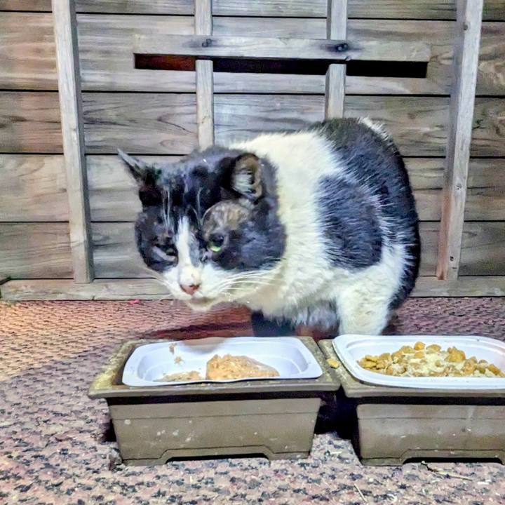 384b852a 0722 46c8 abdf 0e2bbb2e81c2 1769347798837