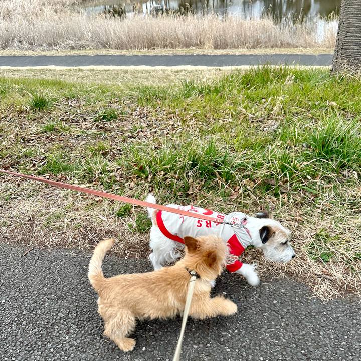 384be177 6cd2 4f72 83b7 620909841c17 1709240358235