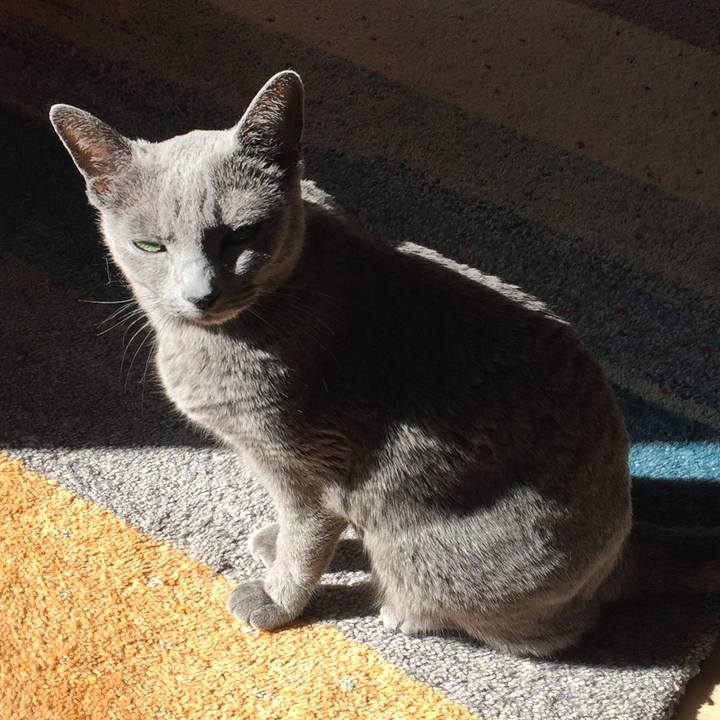 384be69e 755c 45c0 be2a 2d0398d33a4b 1548558804875