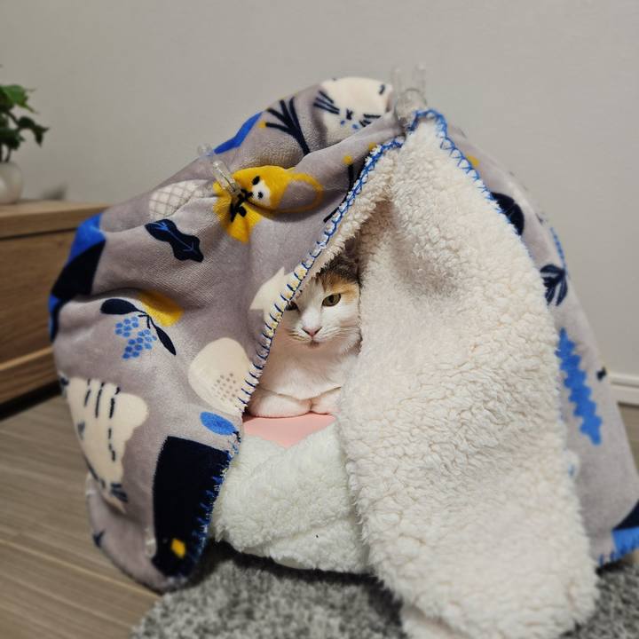 384c2776 6df3 49a7 a551 ac61a221716f 1768204600522