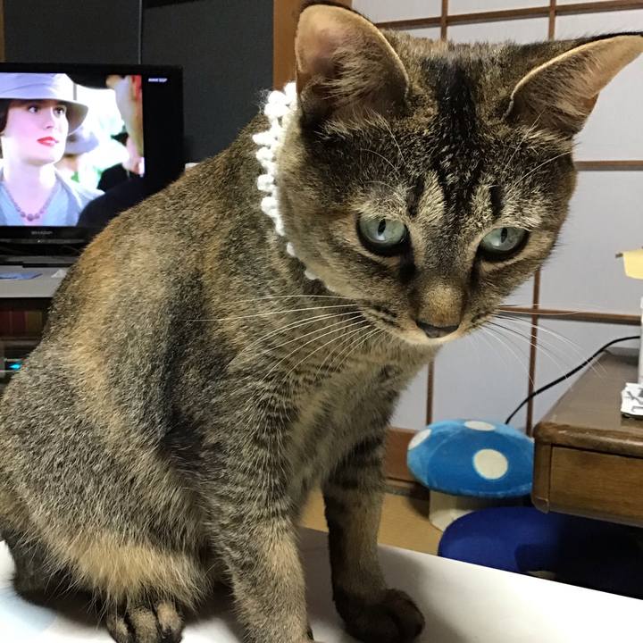 384c2878 1722 46e8 9b4b 2f21999d5d84 1598085128237