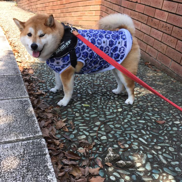 384c3898 b1c0 42d3 a09b f2f935376468 1592629577060