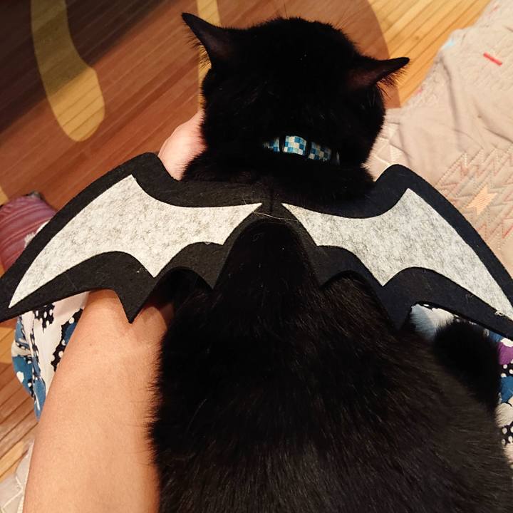 384c6b55 53a2 49a7 a0cf 2535f32cf330 1537228652389