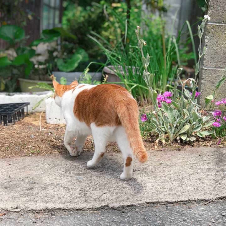 384c6cce c134 41e4 b8c6 4ebf47ae094c 1529043338905