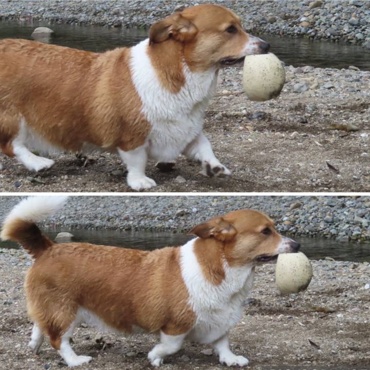 384c6fba d665 4de9 991f 56ba354e5cf9 1694394037043