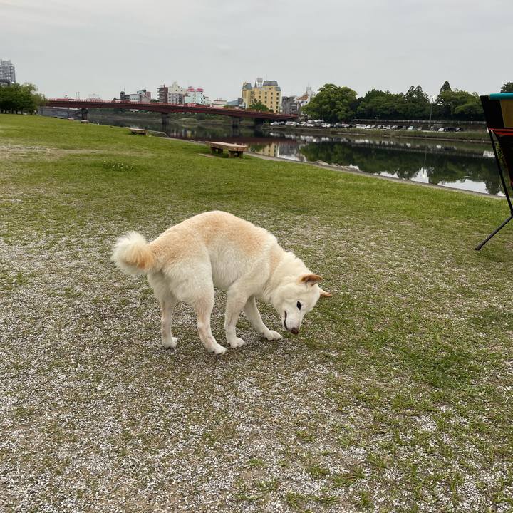 384c8a74 db44 498f 9088 d564cd0b4618 1653054431456