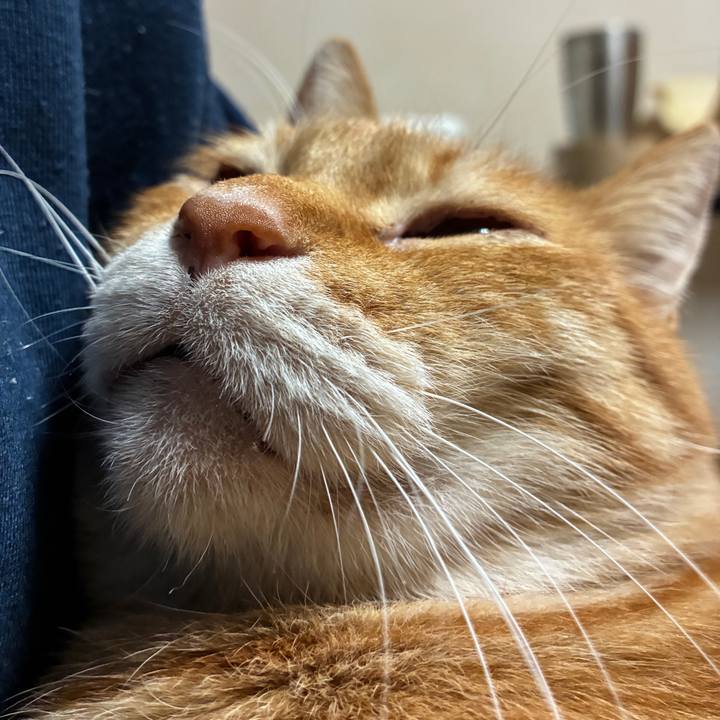 384c9704 eb43 43f5 839d 0be26e41fd6a 1764235499449