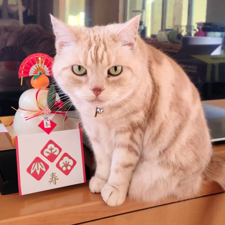 384ce9f5 e370 474c 8cb2 8306bc63cae4 1609838539260