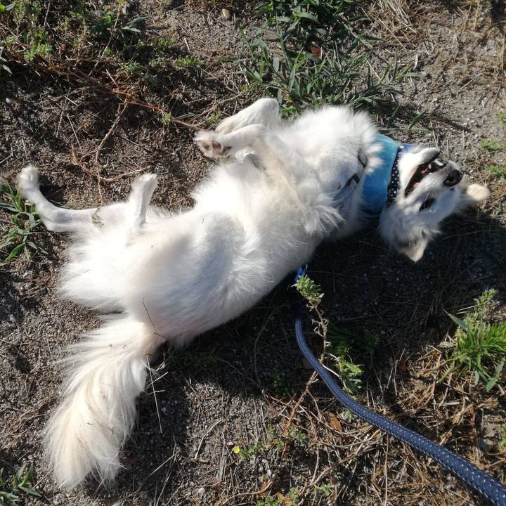 384cf011 a98c 44e5 acf2 6920c1035100 1534465662677